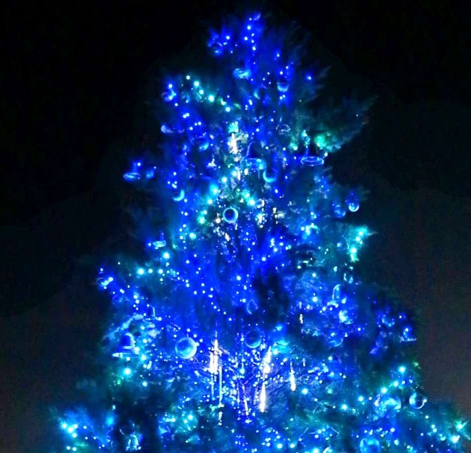 大和高田市 今年も馬見丘陵公園の 馬見クリスマスウィーク が開催されます あの素敵なクリスマスツリーが今年も楽しめます 号外net 大和高田市 橿原市