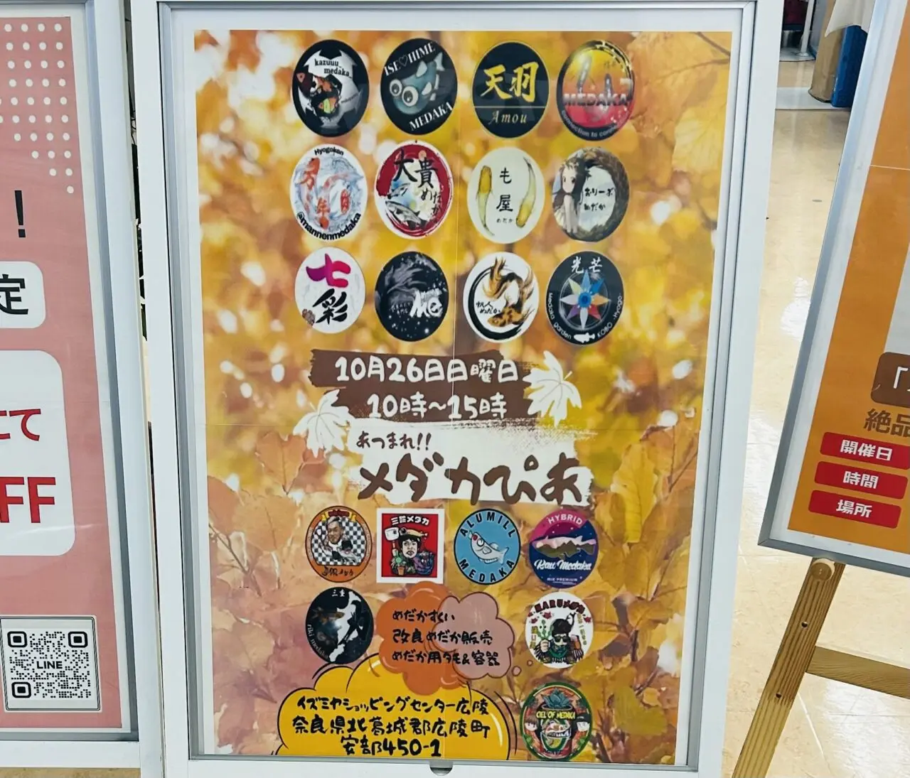 izumiya
