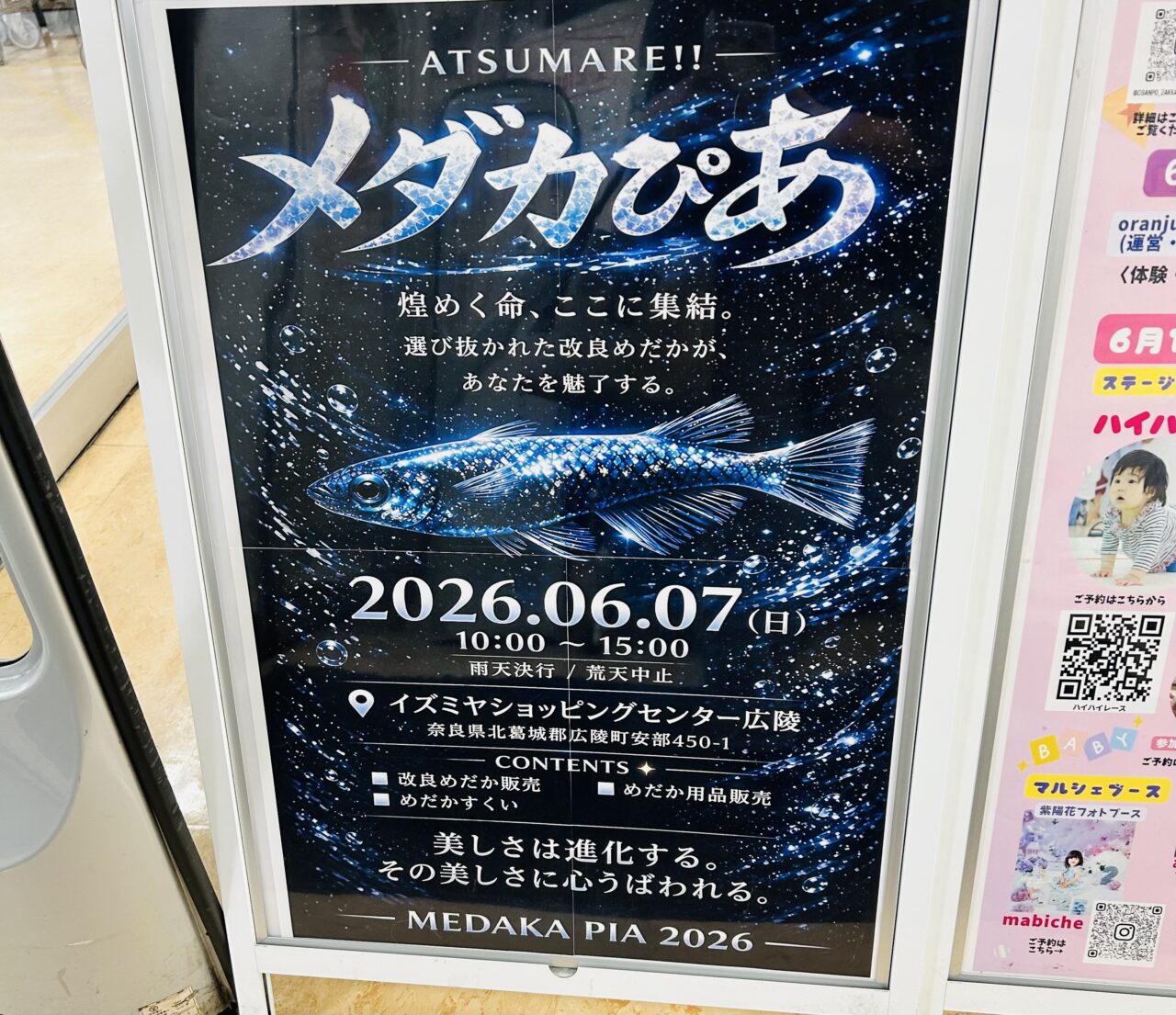 izumiya
