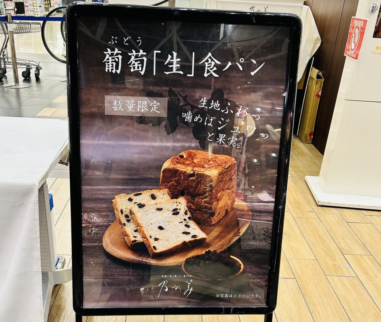 nogami