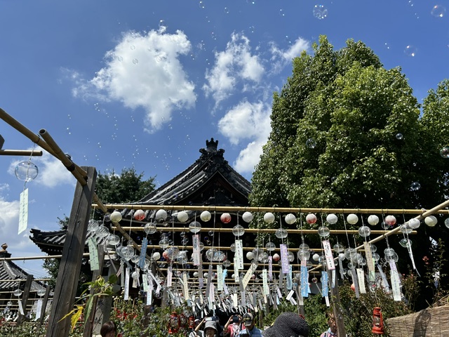 ofusa