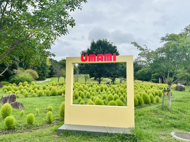 umami