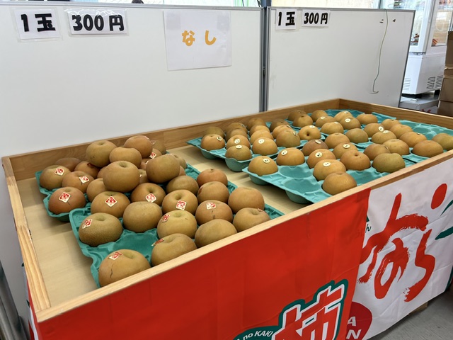 nishiyoshino
